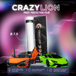 crazylion-b75