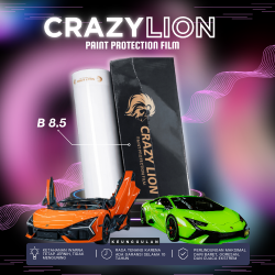 crazylion-b85